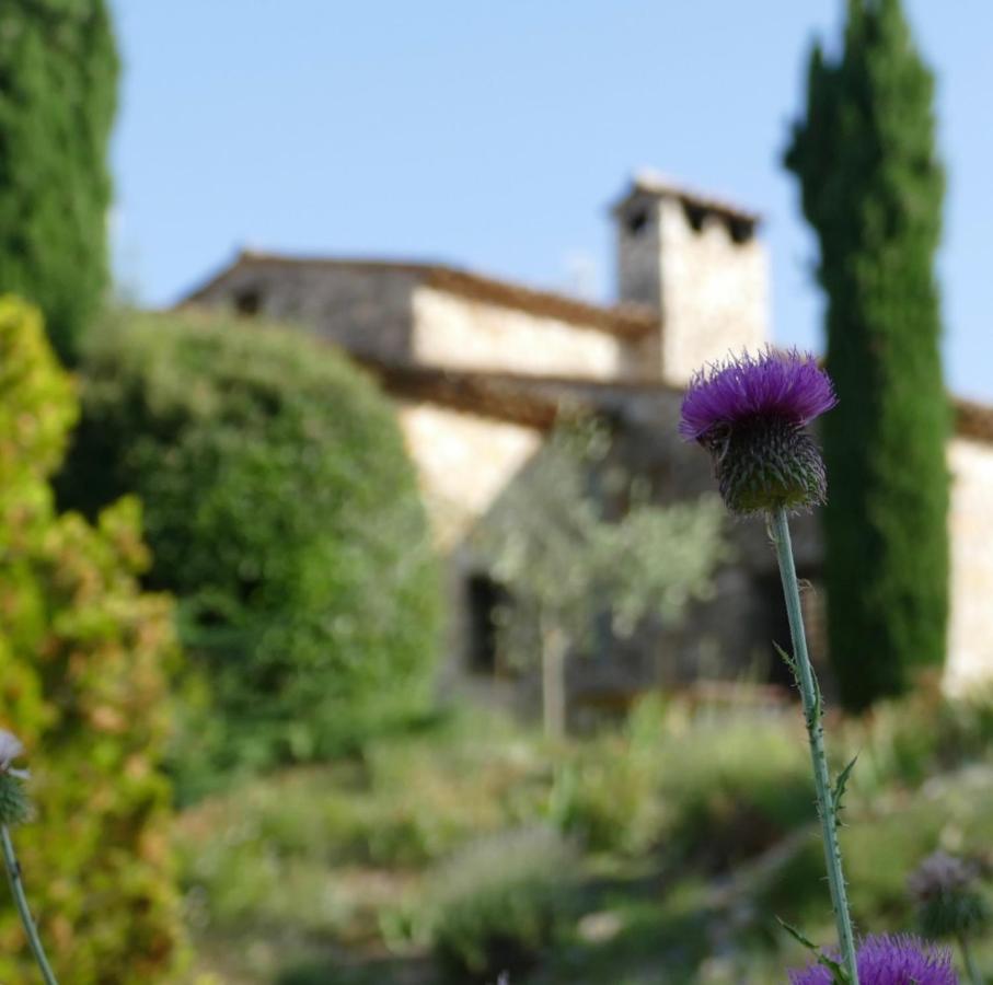 Saint-Cézaire-sur-Siagne Domaine De La Xavoliere酒店 外观 照片