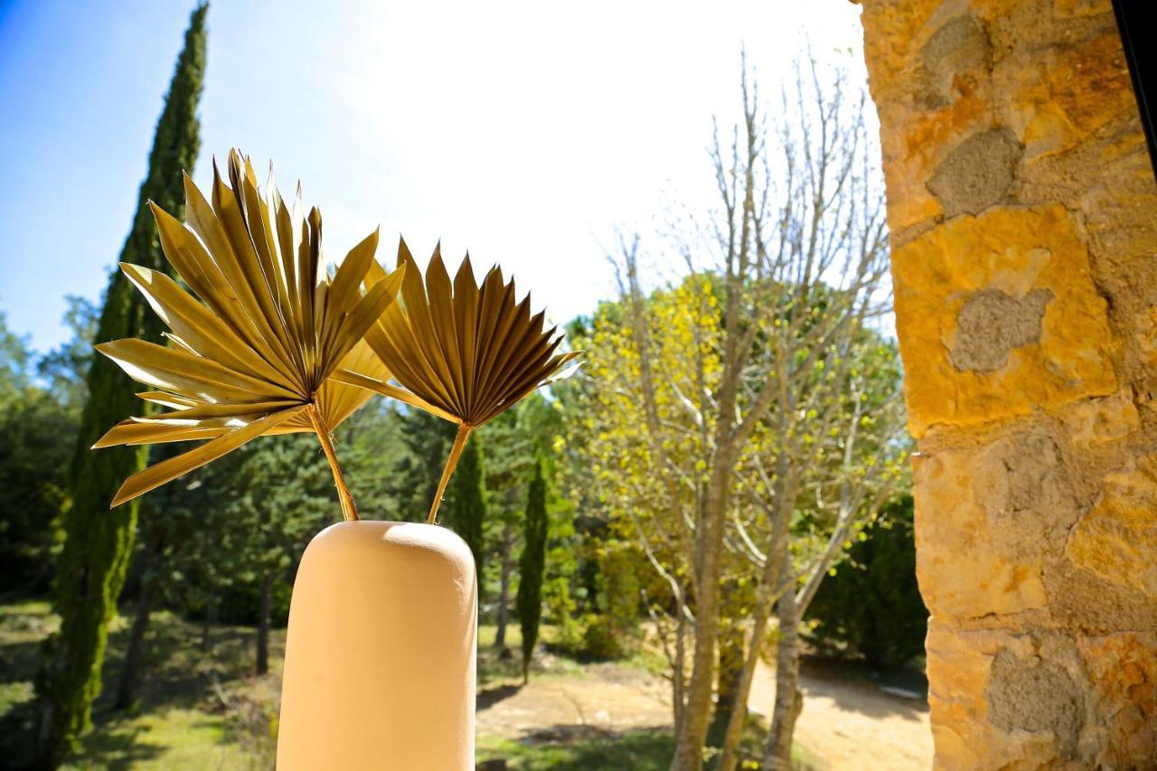 Saint-Cézaire-sur-Siagne Domaine De La Xavoliere酒店 外观 照片